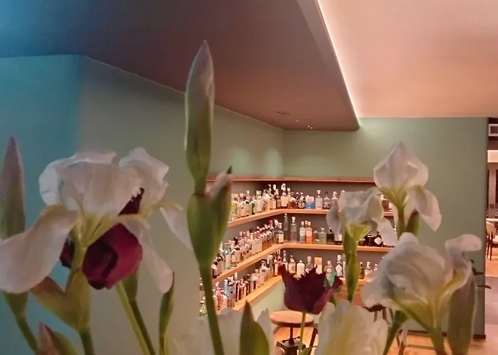 Hotel Ristorante Al Caminetto Worldhotels Crafted Adults Only Torri Del Benaco